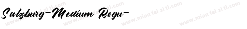 Salzburg-Medium Regu字体转换